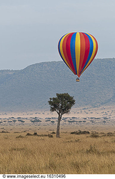 Afrika  Kenia  Maasai Mara National Reserve  Heißluftballon