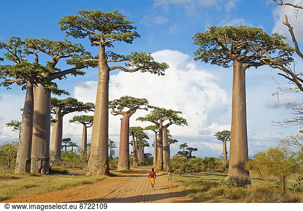 Afrika  Madagaskar