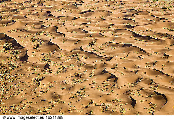 Afrika  Namibia  Dünen in der Namibwüste  Luftaufnahme