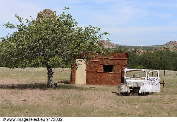 Afrika  Namibia  Namib Naukluft  Blick auf Baum  Lehmhütte und Autowrack