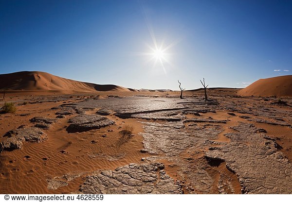Afrika  Namibia  Namib Naukluft Nationalpark  Blick auf tote Vlei in der Namibwüste