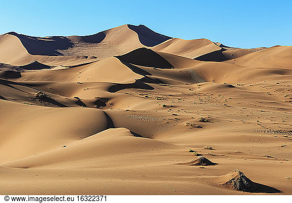 Afrika  Namibia  Namib-Wüste  Blick auf Wüstendünen im Namib-Naukluft-Nationalpark