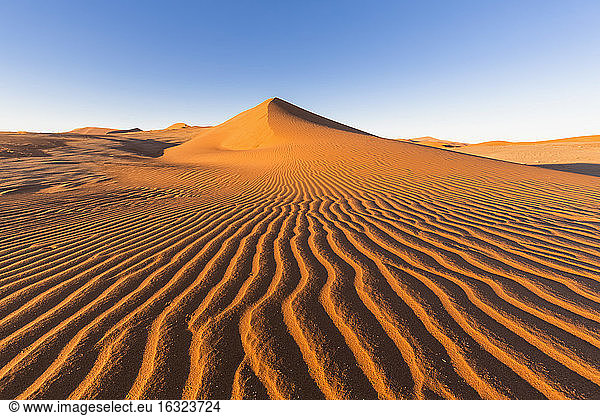 Afrika  Namibia  Namib-Wüste  Blick auf Wüstendünen im Namib-Naukluft-Nationalpark