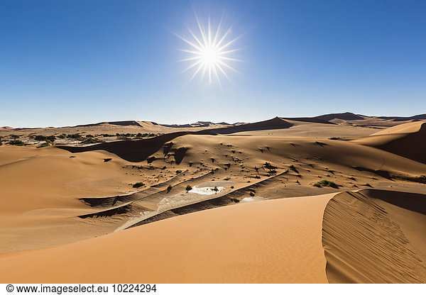 Afrika  Namibia  Namib Wüste  Namib-Naukluft Nationalpark  Blick auf Wüstendünen
