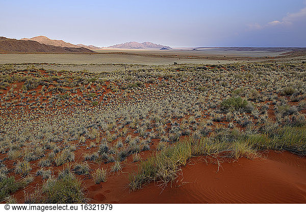 Afrika  Namibia  NamibRand Naturreservat