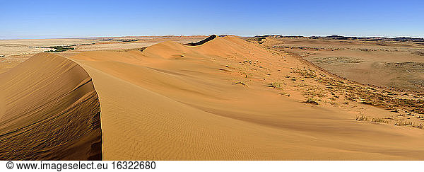 Afrika  Namibia  Sanddünen der Namib-Wüste entlang des Kuiseb-Flusses bei Gobabeb  Namib Naukluft Park