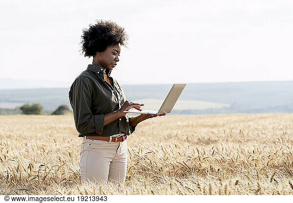 Afro farm worker using laptop amidst barley crops in field
