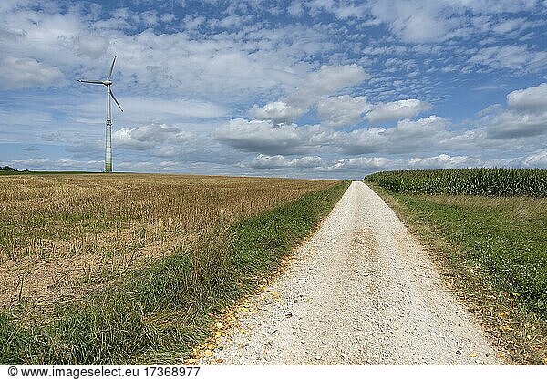 Agrarlandschaft mit Windrad und Feldweg  Wolkenhimmel  Bayern  Deutschland  Europa