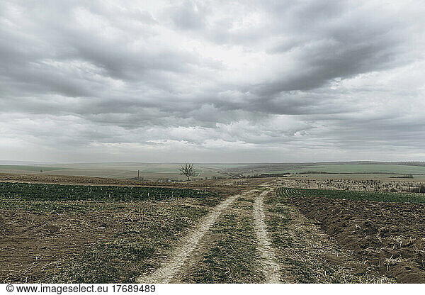 Agricultural field under cloudy sky