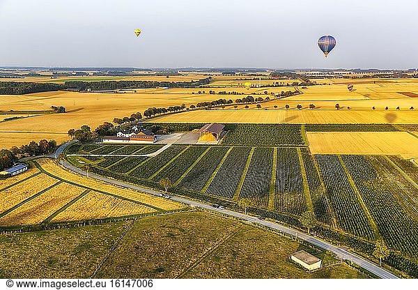 Agricultural landscape  aerial photograph  evening mood  hot air balloons landing on fields  Warstein  Sauerland  Germany  Europe