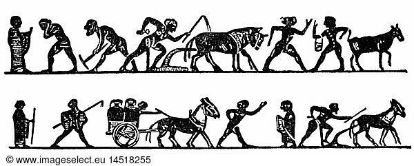 agriculture  agricultural work  plowing  farmers plowing and transporting olive oil  after vase painting  Greece  circa 600 BC  drawing  20th century  Greeks  people  men  man  working  tillage  tilth  arable farming  working animal  work animal  working animals  cart  carts  ploughs  plows  plough  plow  ploughing  plowing  ancient world  ancient times  Greece  agriculture  farming  agricultural work  farm labour  farm labor  farmer  farmers  transport  transporting  historic  historical  ancient world
