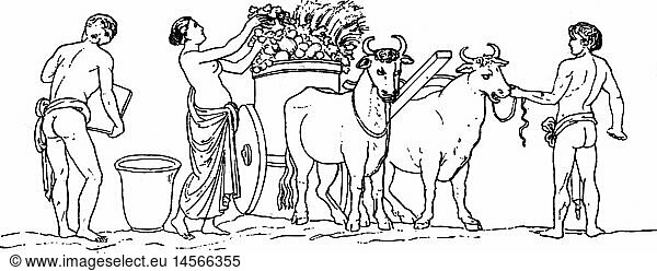 agriculture  farm labour  harvest  Roman harvest wagon  after relief at the thermae of Titus  Rome  drawing  19th century  19th century  graphic  graphics  ancient world  ancient times  Roman Empire  works  working  labouring  laboring  ox  span of oxen  team of oxen  pull  pulling  drawing  draw  cart  carts  harvest wagon  transport  transporting  agriculture  farming  agricultural work  farm labour  farm labor  harvest  harvests  thermal spring  hot spring  thermal springs  hot springs  historic  historical  people  ancient world