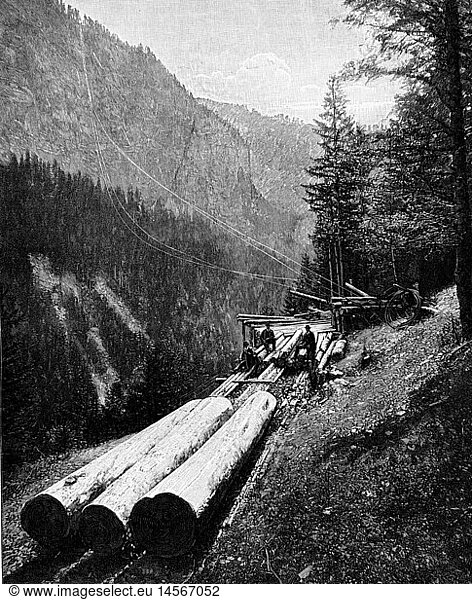 agriculture  forestry  lumber transporting facility  Via Mala  Graubuenden  Switzerland  wood engraving  circa 1890