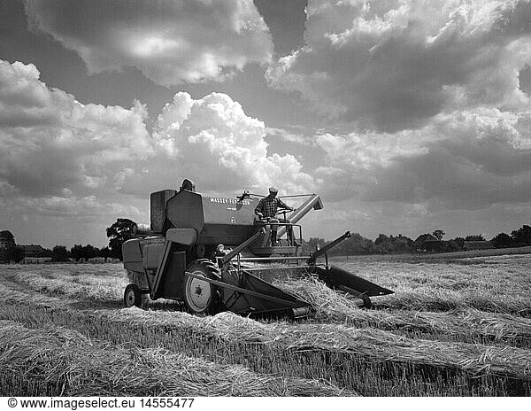 agriculture  machines  Massey-Ferguson 685 combine at the harvest  1950s
