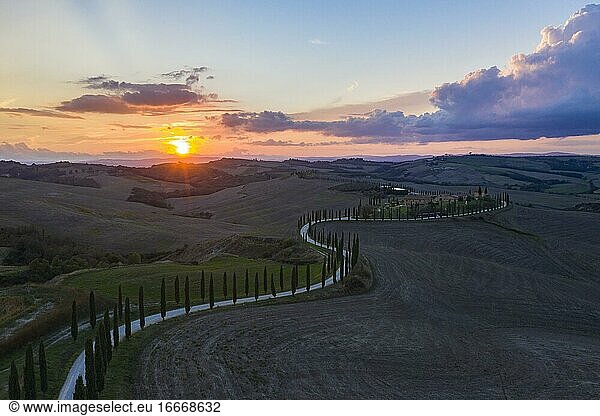 Agriturismo Baccoleno with cypress avenue (Cupressus) at sunset  aerial view  Asciano  Crete Senesi  Siena  Tuscany  Italy  Europe