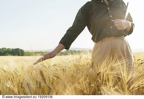Agronomist holding tablet PC and touching barley crops