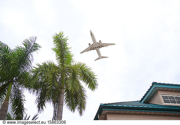 Airplane flying over the palm trees and residential building