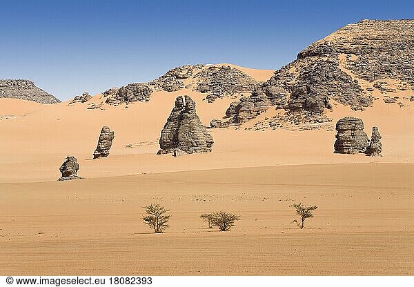 Akakus-Gebirge  Sahara  Libyen  Afrika
