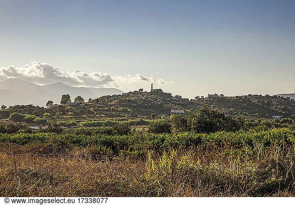 Albania  Vlore County  Sarande  Summer countryside with mosque in distant background