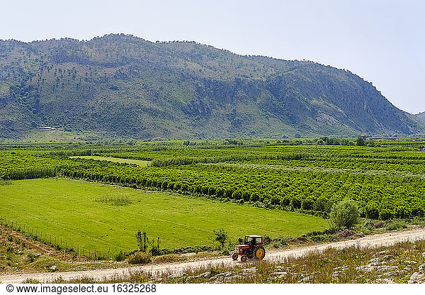 Albanien  Kreis Vlore  Konispol  Traktor und Plantagen