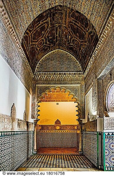 Alcázar  Sevilla  Sevilla  Andalusien  Spanien  Europa