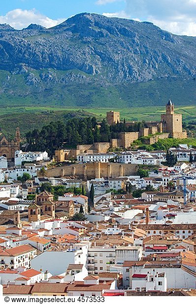 Alcazaba fortress (12th-16th century)  Antequera  Malaga province  Andalusia  Spain