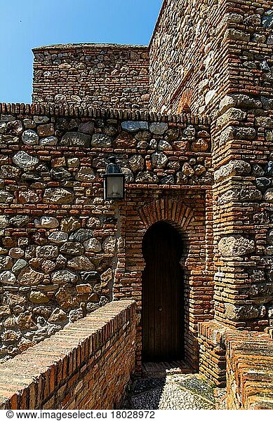 Alcazaba  Malaga  Malaga  Andalusien  Spanien  Europa
