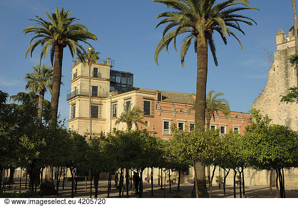 Alcazar   Jerez de la Frontera   Cadiz   Andalusien   Spanien   Europa