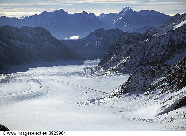 Aletschgletscher glacier seen from the Jungfraujoch saddle  Western Alps  Grindelwald  Switzerland  Europe