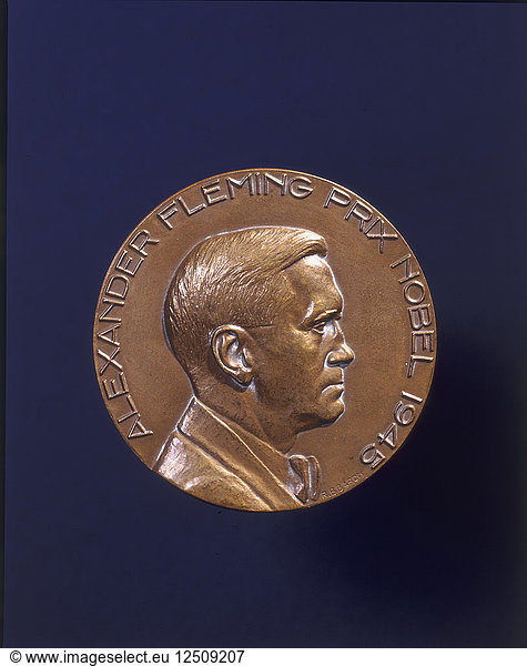 Alexander Fleming Prix Nobel 1945. Künstler: Unbekannt