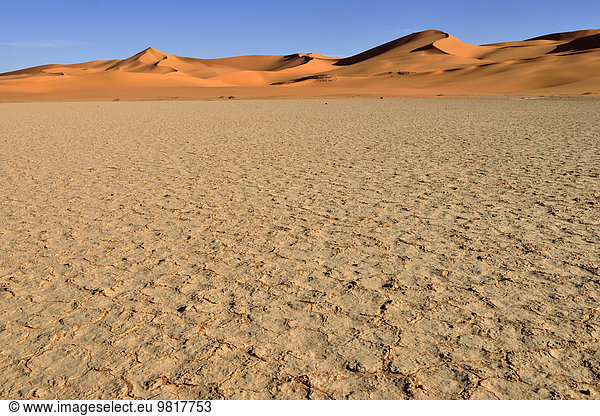 Algerien  Sahara  Sanddünen und Playa  Claypan von In Tehak