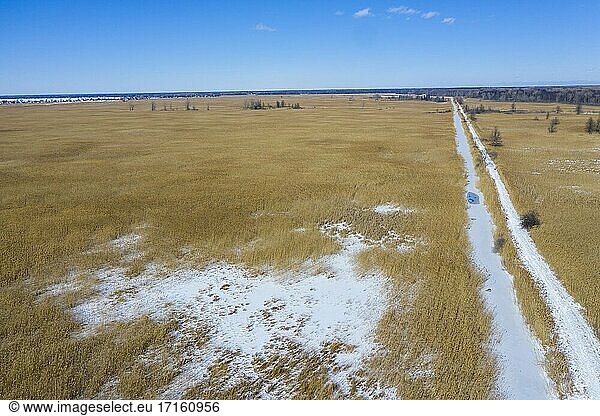 Algonac  Michigan - St. John's Marsh  eine feuchte Prärie mit Wander- und Kanustrecken. Einheimische Rohrkolben und andere Pflanzen wurden weitgehend durch die invasiven Phragmites ersetzt.
