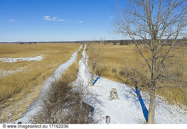 Algonac  Michigan - St. John's Marsh  eine feuchte Prärie mit Wander- und Kanustrecken. Einheimische Rohrkolben und andere Pflanzen wurden weitgehend durch die invasiven Phragmites ersetzt.