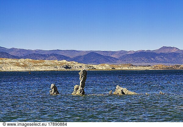 Alkalischer und salzhaltiger See  Tuffstein in bizarren Formen  Mono Lake  Lee Vining  Naturschutzgebiet Mono Lake Tufa  Kalifornien  USA  Nordamerika