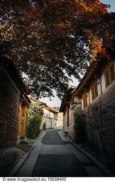 Alley with traditional houses  Bukchon Hanok Village  Seoul  South Korea