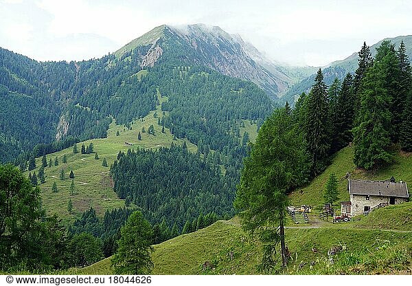 Alm  Lesachtal  Karnische Alpen  Kärnten  Alpen  Österreich  Europa