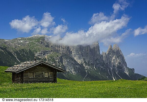 Almhütten vor dem Schlern-Massiv  Seiseralm  Südtirol  Italien  Europa