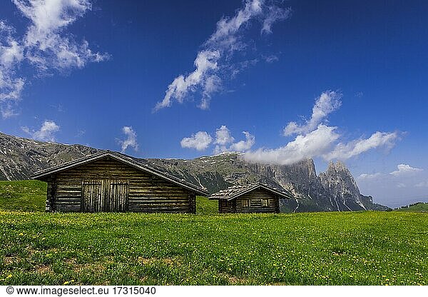 Almhütten vor dem Schlern-Massiv  Seiseralm  Südtirol  Italien  Europa