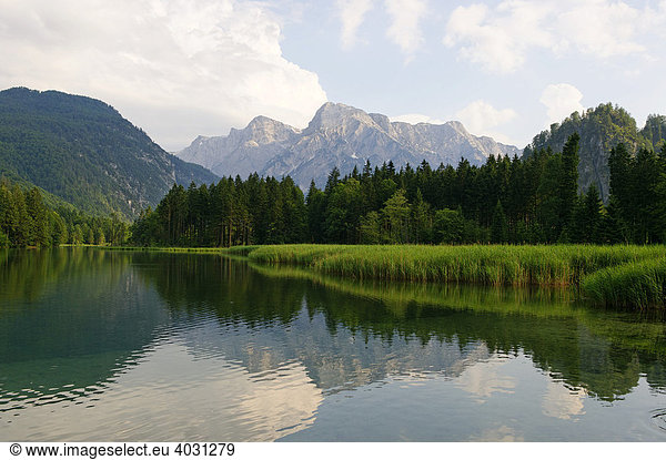 Almsee im Talmtal unterm Toten Gebirge  Oberösterreich  Österreich  Europa