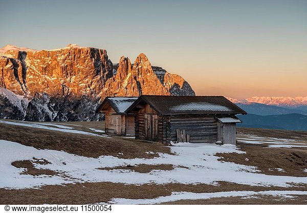 Alpe di Siusi/Seiser Alm  Dolomites  South Tyrol  Italy. Sunrise on plateau of Bullaccia/Puflatsch. In the background the peaks of Sciliar.