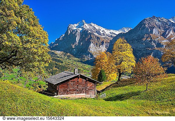 Alpine hut above Grindelwald  Mt Wetterhorn at the back  Grindelwald  Canton of Bern  Switzerland  Europe