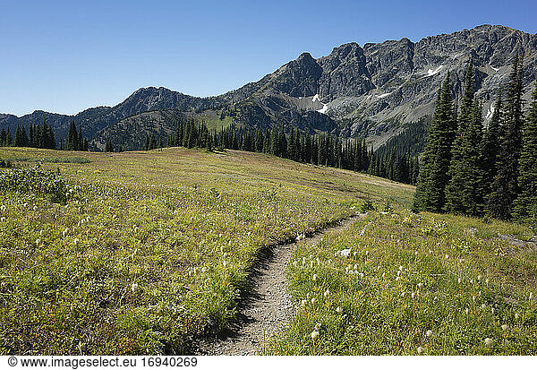 Alpine meadows of the Pacific Crest Trail