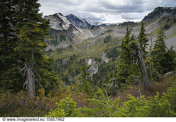 Alpine Mountain Scene With Evergreen Trees