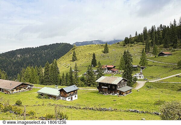 Alpine pasture  Brentenjoch  Kaiser Mountains  Tyrol  Austria  Europe