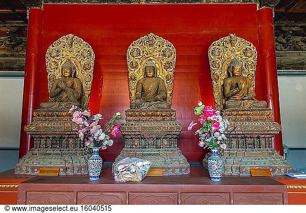 Altar im buddhistischen Zhihua-Tempel - Tempel der Weisheit Im Lumicang-Hutong  Chaoyangmen-Gebiet des Bezirks Dongcheng in Peking  China.