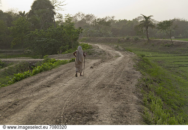 Alte Frau mit Gehstock geht im Abendlicht Feldweg entlang  Magura  Khulna District  Bangladesch  S¸dasien