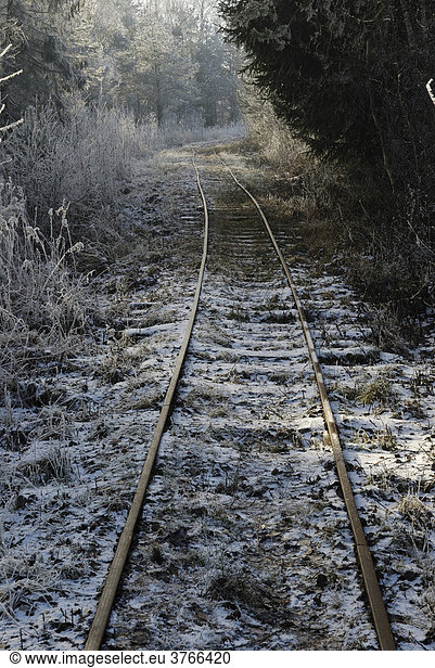 Alte Gleisanlage einer Feldbahn im ehemaligen Torfabbaugebiet von Nicklheim Deutschland
