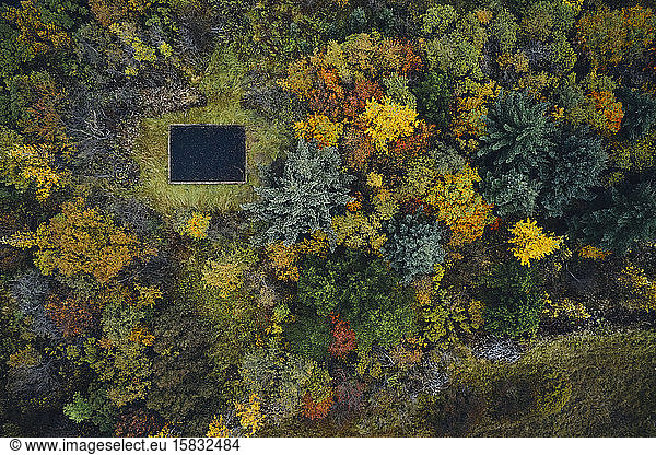 Alte Hüttengründung im Herbstwald