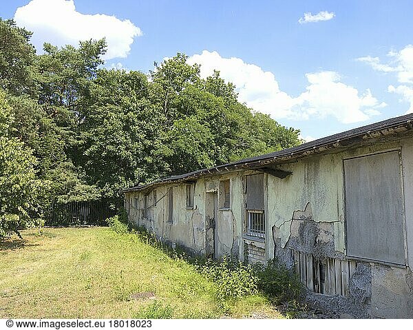 Alte halb zerfallene Baracke  Konzentrationslager  KZ  Sachsenhausen  Oranienburg  Brandenburg  Deutschland  Europa