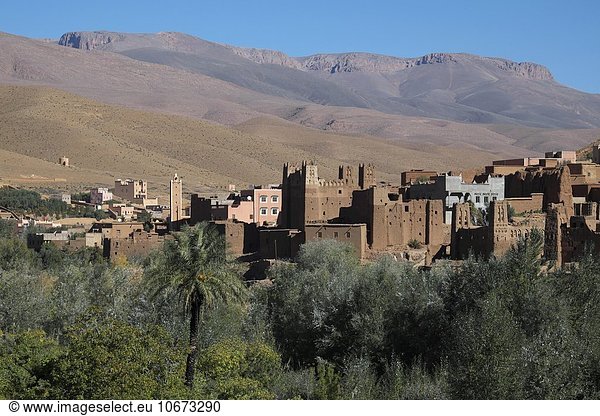 Alte Kasbah im Dades Tal Hoher Atlas Souss-Massa-Draâ Marokko Afrika